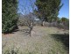 19 Wolfram Street, Stanthorpe QLD 4380