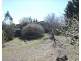 19 Wolfram Street, Stanthorpe QLD 4380
