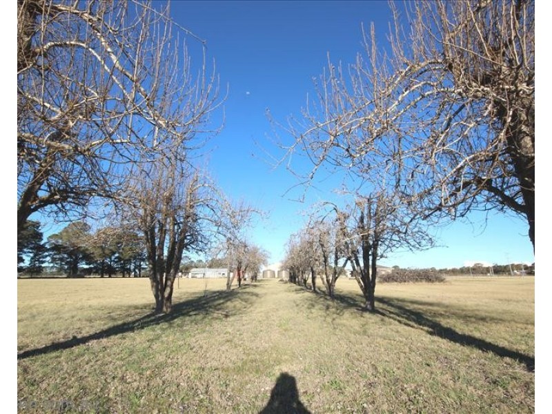 112 Schumann Lane, Thulimbah QLD 4376