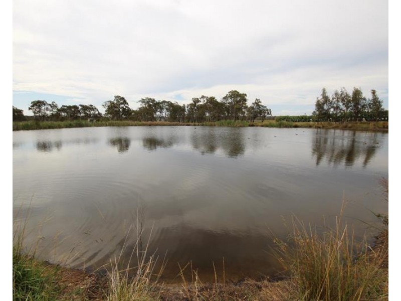 141 Aerodrome Road, Applethorpe QLD 4378