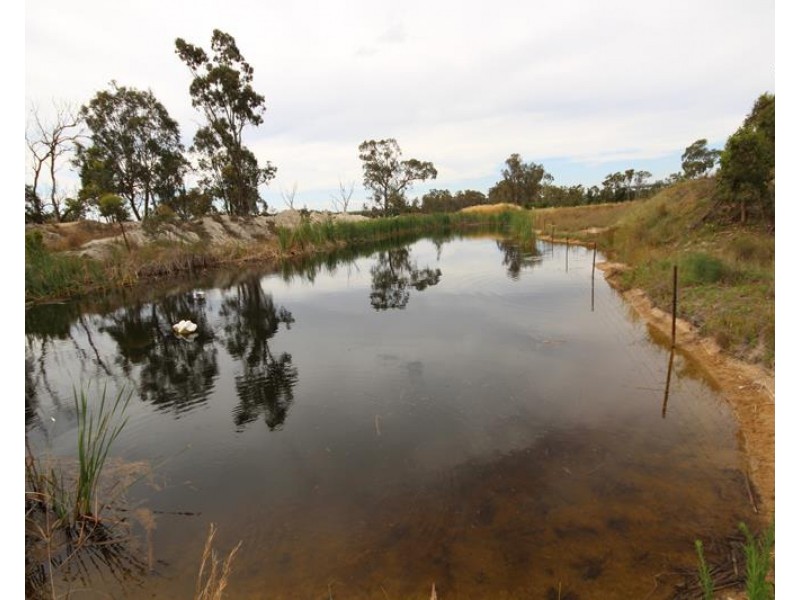 141 Aerodrome Road, Applethorpe QLD 4378