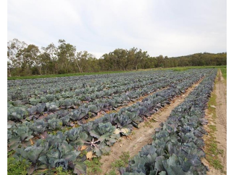 141 Aerodrome Road, Applethorpe QLD 4378