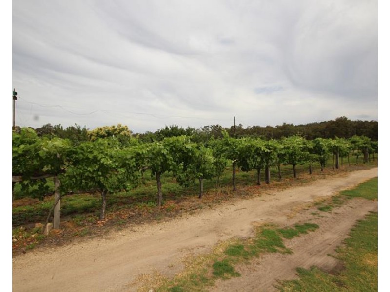 141 Aerodrome Road, Applethorpe QLD 4378