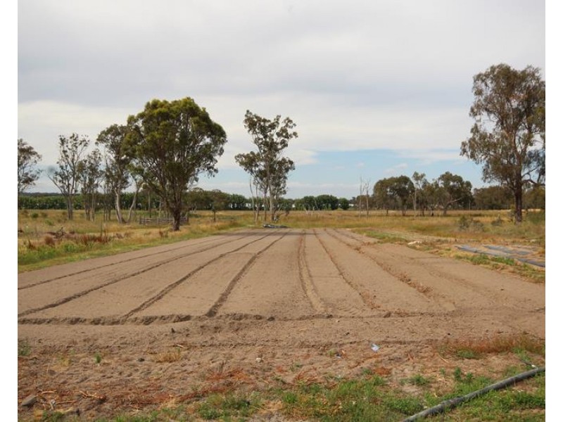 141 Aerodrome Road, Applethorpe QLD 4378