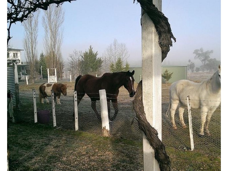 496 Texas Road, Broadwater QLD 4380