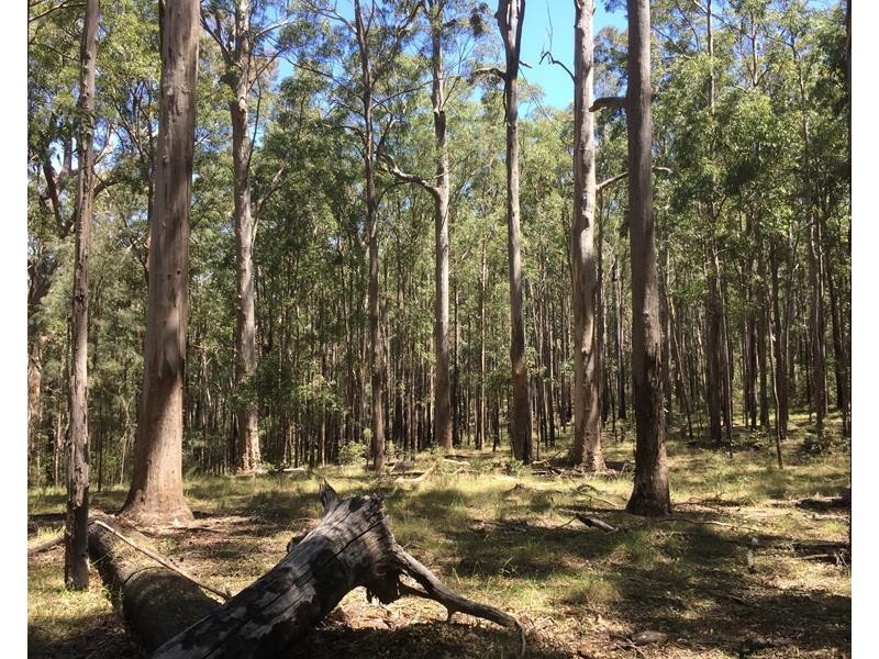 000 Boonoo Boonoo Area, Boonoo Boonoo NSW 2372