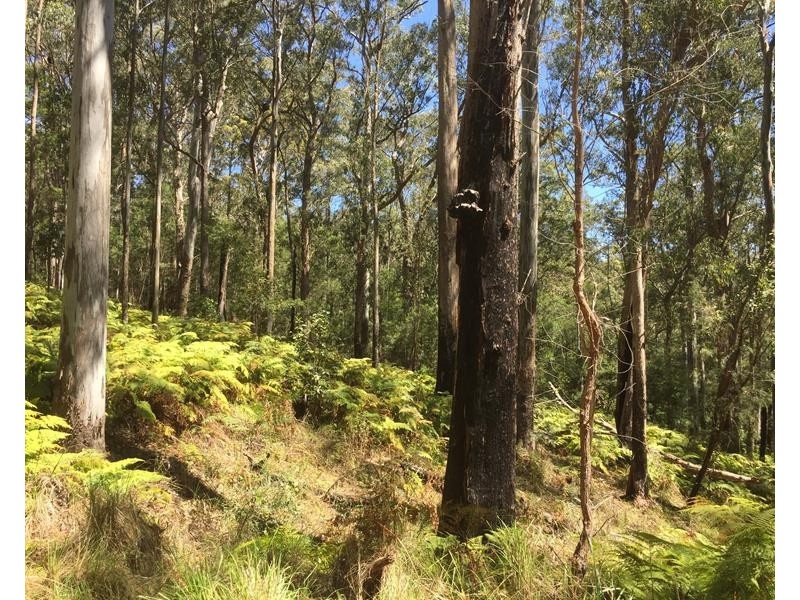 000 Boonoo Boonoo Area, Boonoo Boonoo NSW 2372