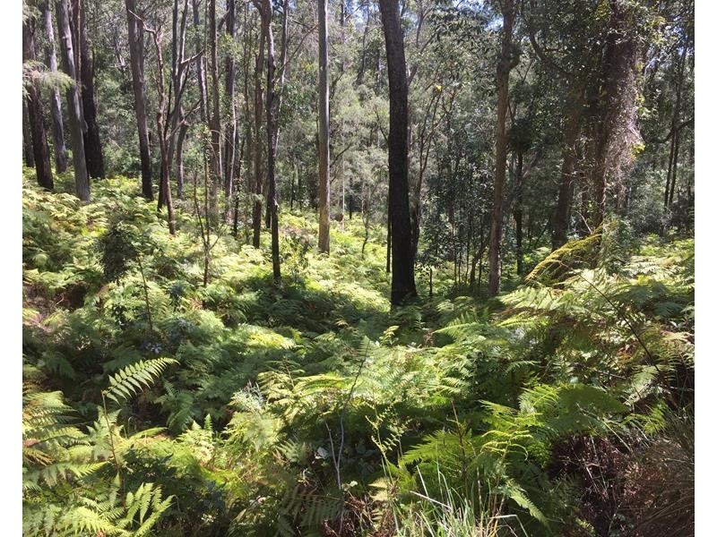 000 Boonoo Boonoo Area, Boonoo Boonoo NSW 2372