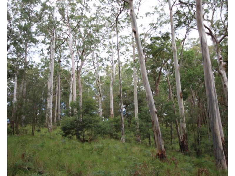 000 Boonoo Boonoo Area, Boonoo Boonoo NSW 2372