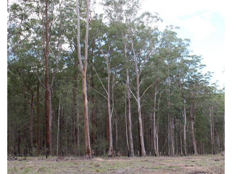 000 Boonoo Boonoo Area, Boonoo Boonoo NSW 2372