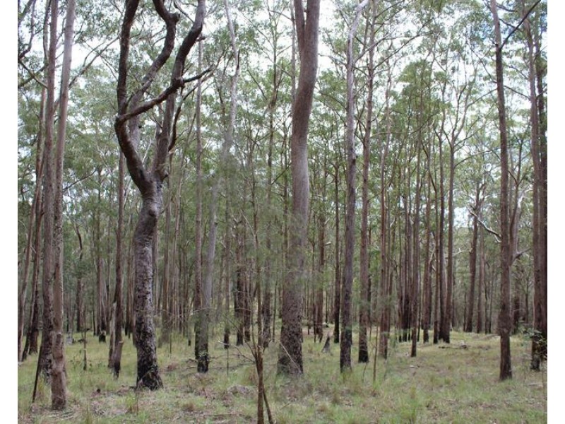 000 Boonoo Boonoo Area, Boonoo Boonoo NSW 2372