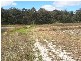New England Highway, Applethorpe QLD 4378