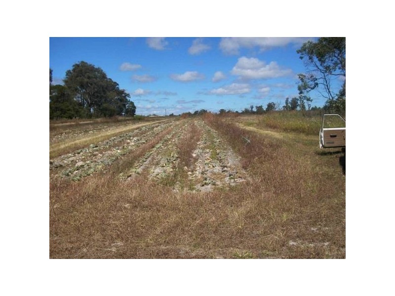 New England Highway, Applethorpe QLD 4378