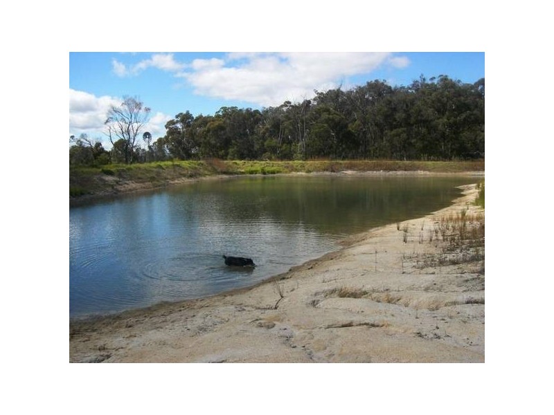 New England Highway, Applethorpe QLD 4378