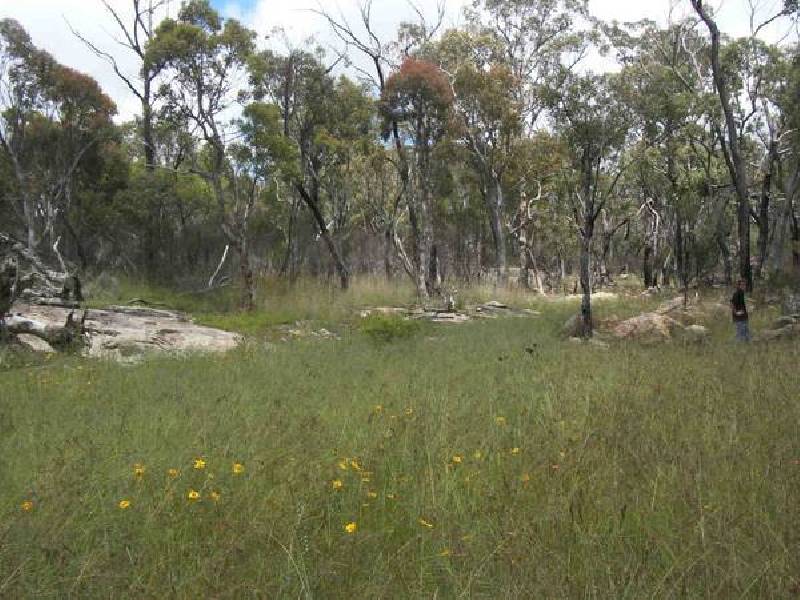 584 Kingston Rd, Stanthorpe QLD 4380