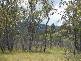 584 Kingston Rd, Stanthorpe QLD 4380