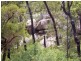 205 Horans Gorge Rd, Stanthorpe QLD 4380
