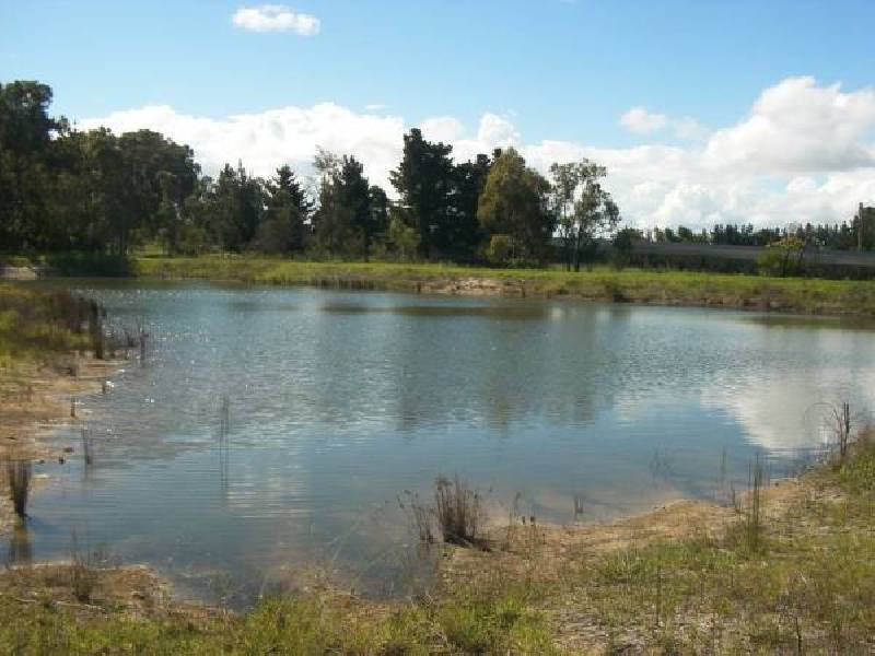 2 New England Hwy, Applethorpe QLD 4378