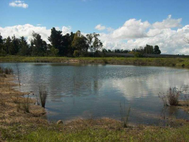 2 New England Hwy, Applethorpe QLD 4378