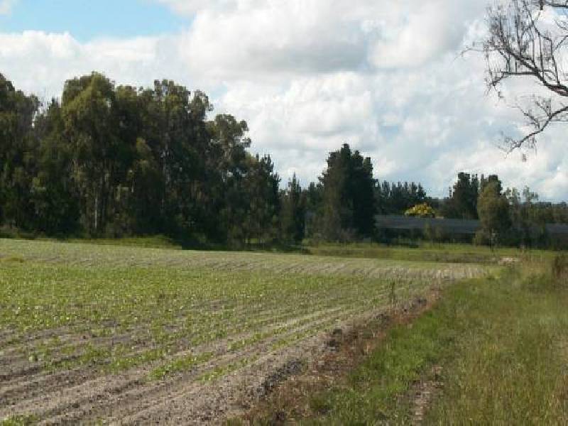 2 New England Hwy, Applethorpe QLD 4378