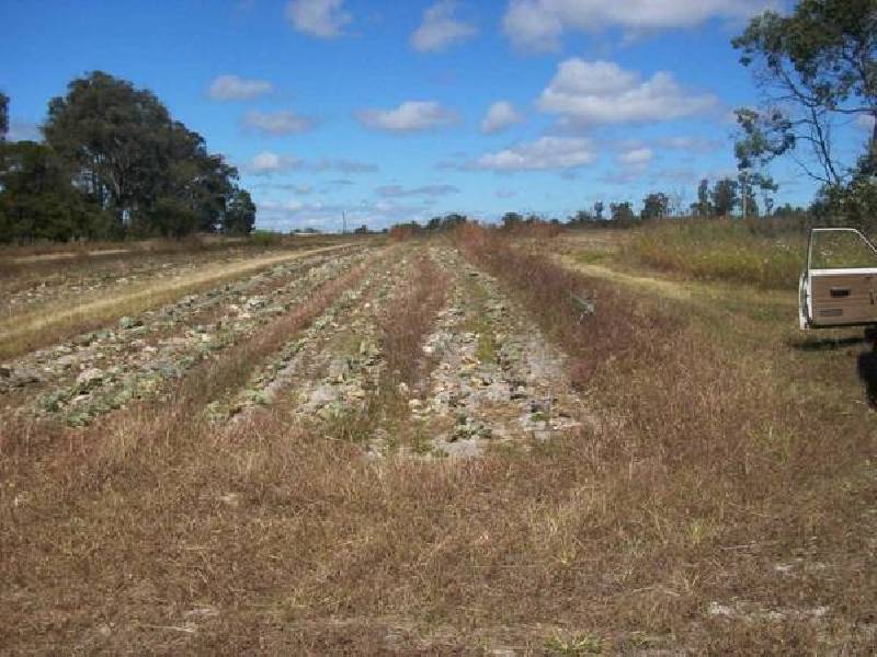 2 New England Hwy, Applethorpe QLD 4378