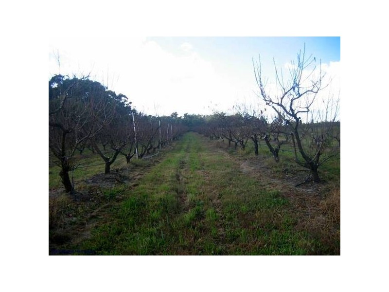 33 Pradella Rd, Stanthorpe QLD 4380