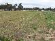 5 Border Road, Applethorpe QLD 4378