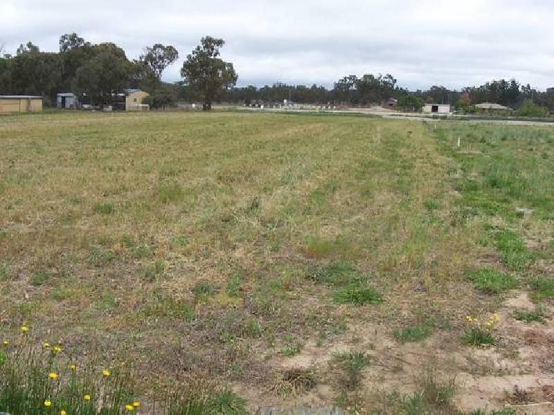 5 Border Road, Applethorpe QLD 4378