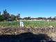 5 Border Road, Applethorpe QLD 4378