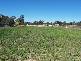 5 Border Road, Applethorpe QLD 4378