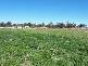 5 Border Road, Applethorpe QLD 4378