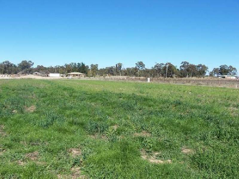 5 Border Road, Applethorpe QLD 4378