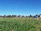5 Border Road, Applethorpe QLD 4378