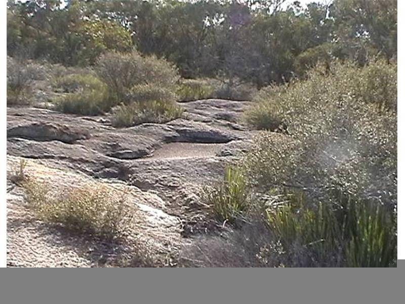 Amiens QLD 4352