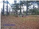 9 Halls Lane, The Summit QLD 4377