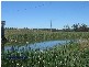 Gangemi Road, Stanthorpe QLD 4380