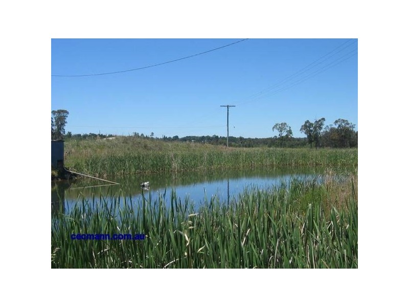 Gangemi Road, Stanthorpe QLD 4380