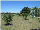 Gangemi Road, Stanthorpe QLD 4380