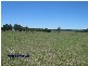 Gangemi Road, Stanthorpe QLD 4380