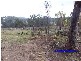 103 Easement off New England Highway, Ballandean QLD 4382