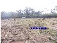 103 Easement off New England Highway, Ballandean QLD 4382