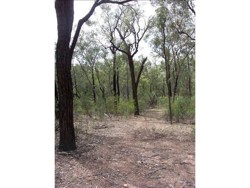 Rayners Road, Warroo QLD 4387