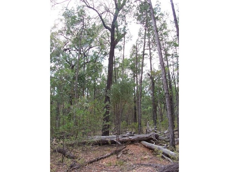 Rayners Road, Warroo QLD 4387