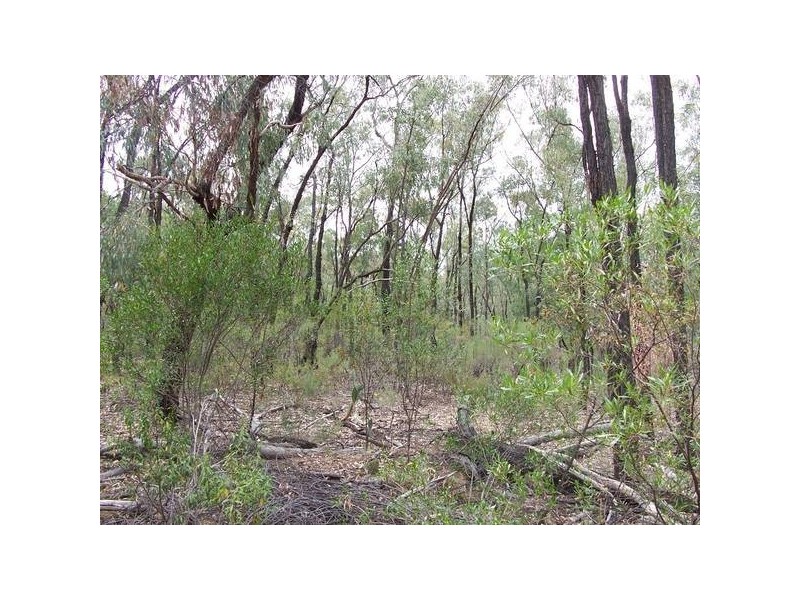 Rayners Road, Warroo QLD 4387
