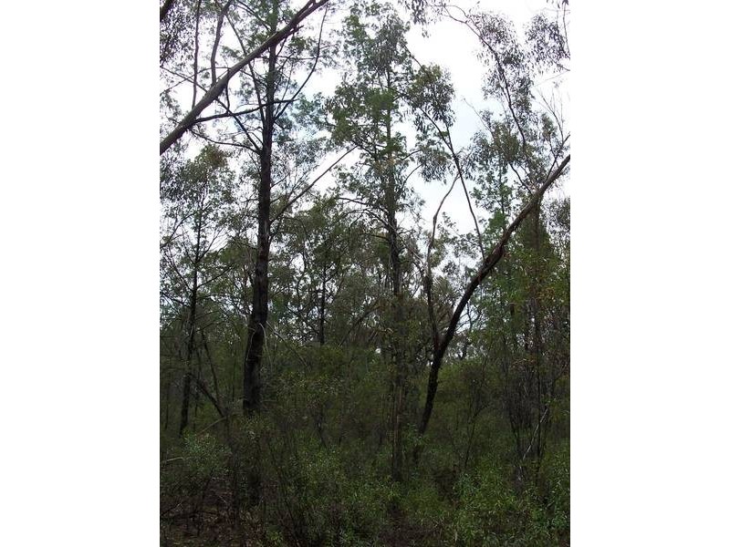 Rayners Road, Warroo QLD 4387