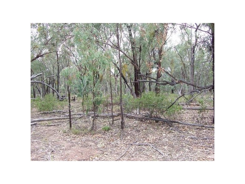 Rayners Road, Warroo QLD 4387