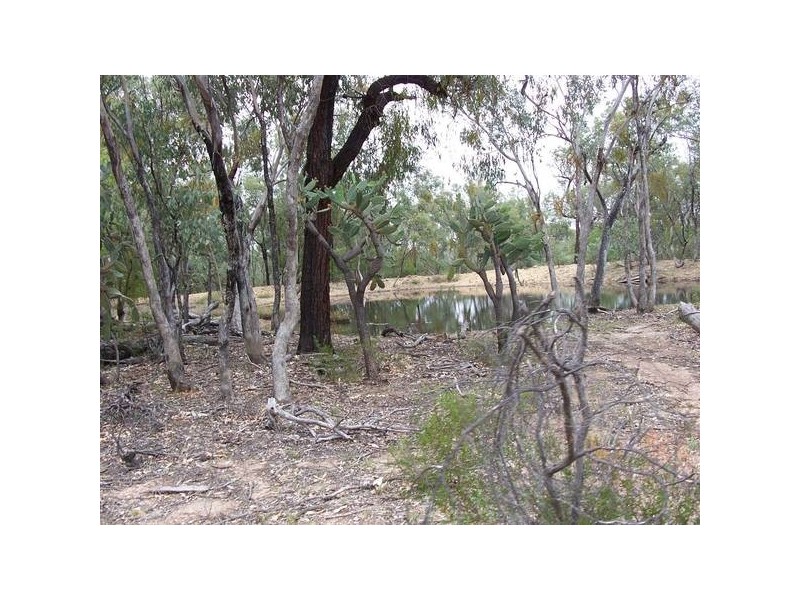 Rayners Road, Warroo QLD 4387