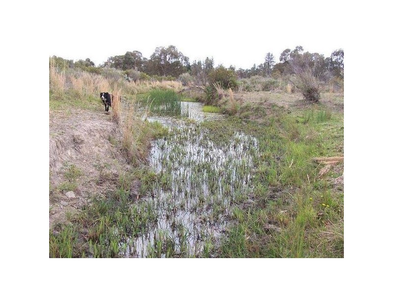 Eukey Road, Storm King QLD 4380