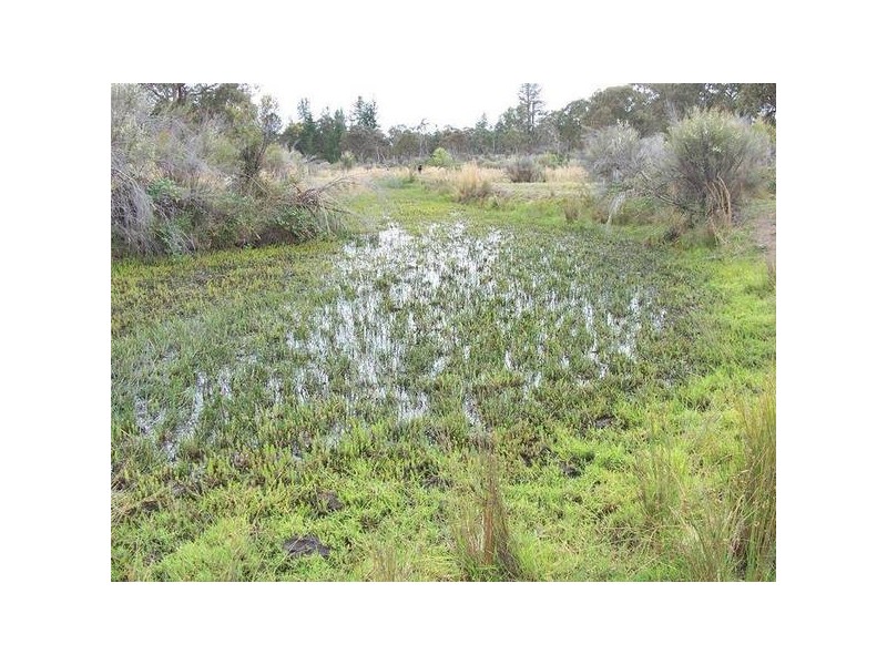 Eukey Road, Storm King QLD 4380