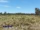 Pyramids Road, Stanthorpe QLD 4380
